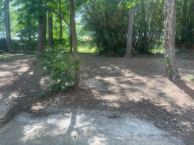 Building Photo - 1540 Pine View Dr
