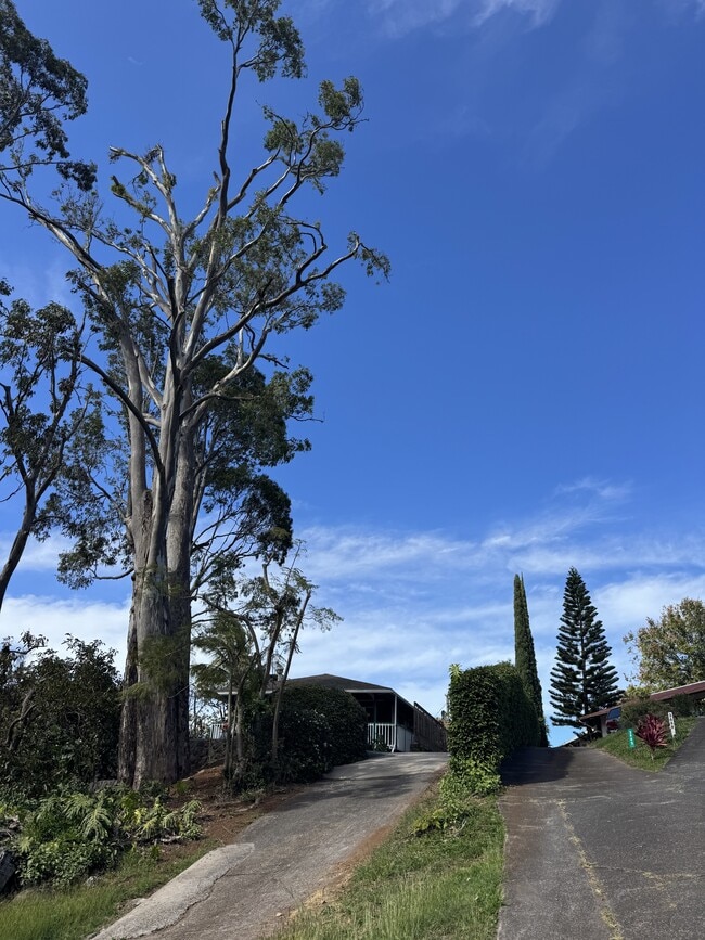 Primary Photo - 3655 Brewer Rd