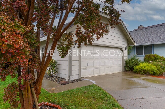 Building Photo - Single Story Charming 3-Bedroom Pleasanton Home Now MOVE IN Ready!