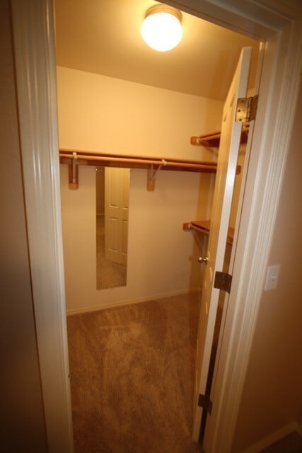Building Photo - 3 Bedroom Condo close to JBER and Shopping!