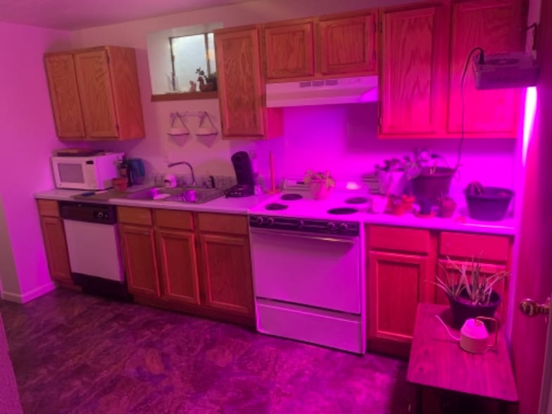 Building Photo - 1240 Southridge Dr