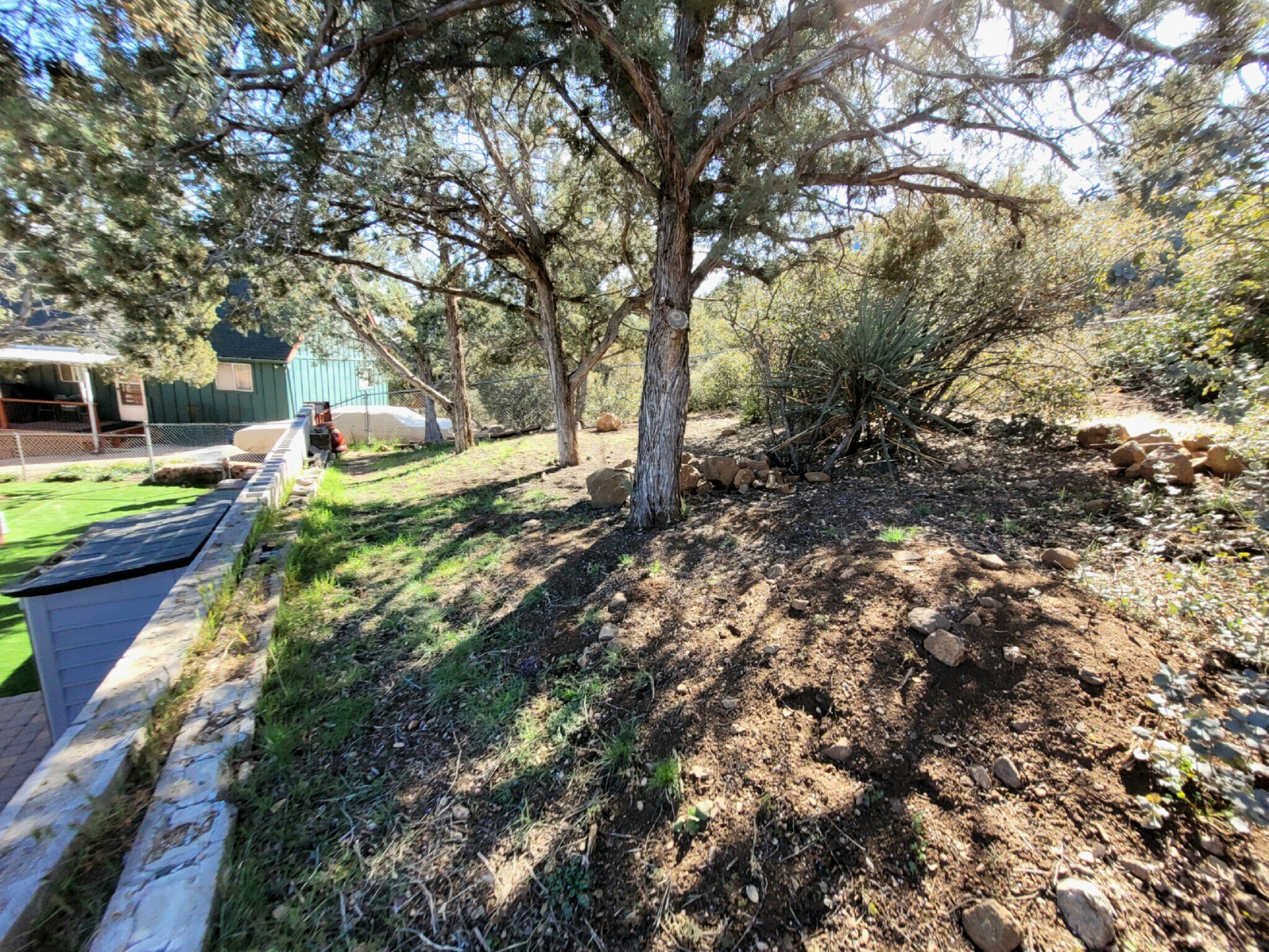 upper rear yard - 221 E Pine St