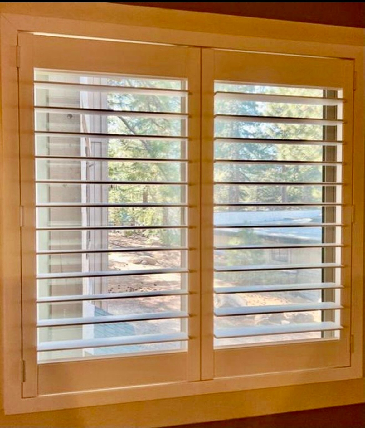 Plantation shutters in living room. - 872 Tanager St