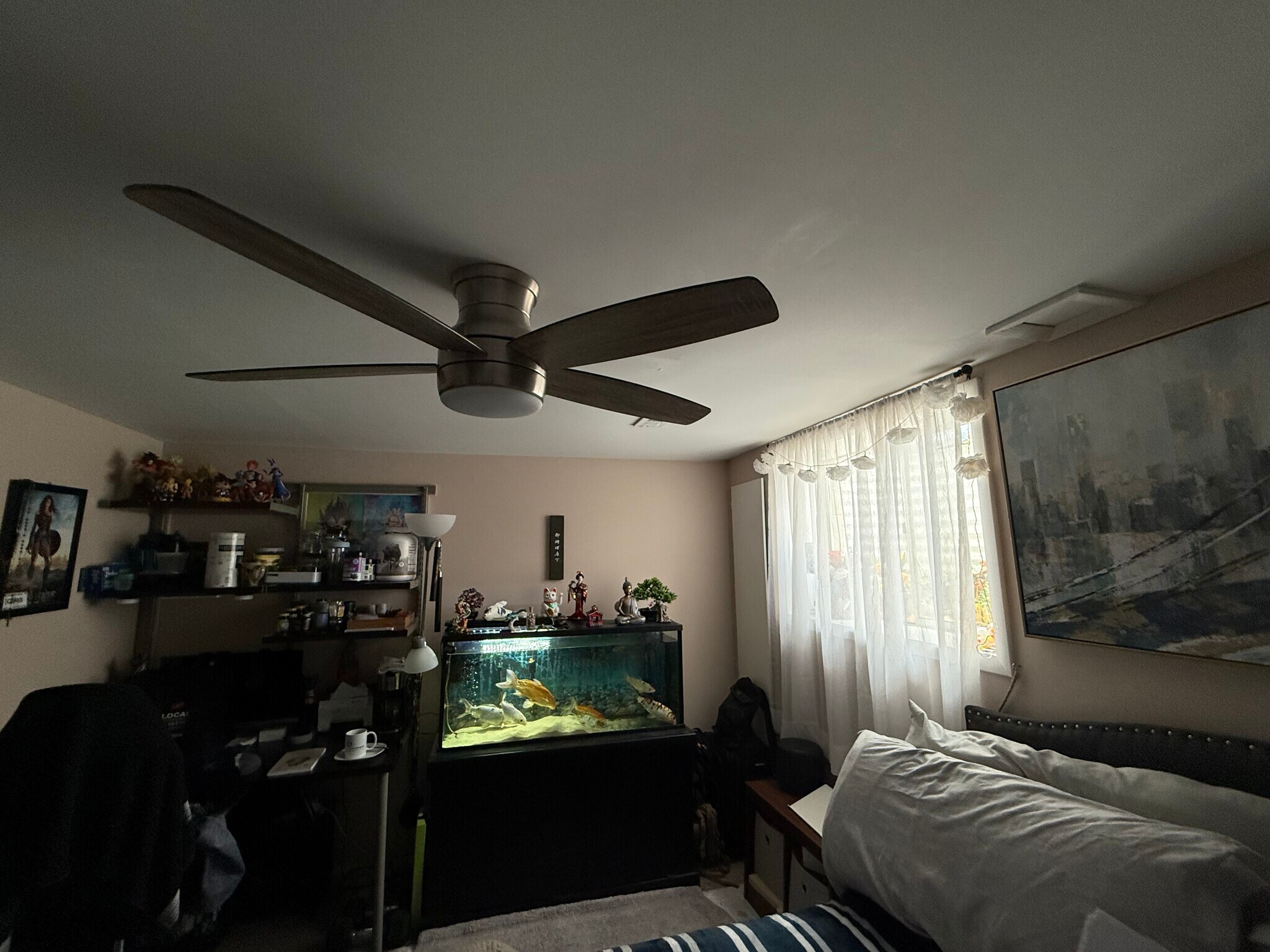 Basement - 6264 Ducketts Ln