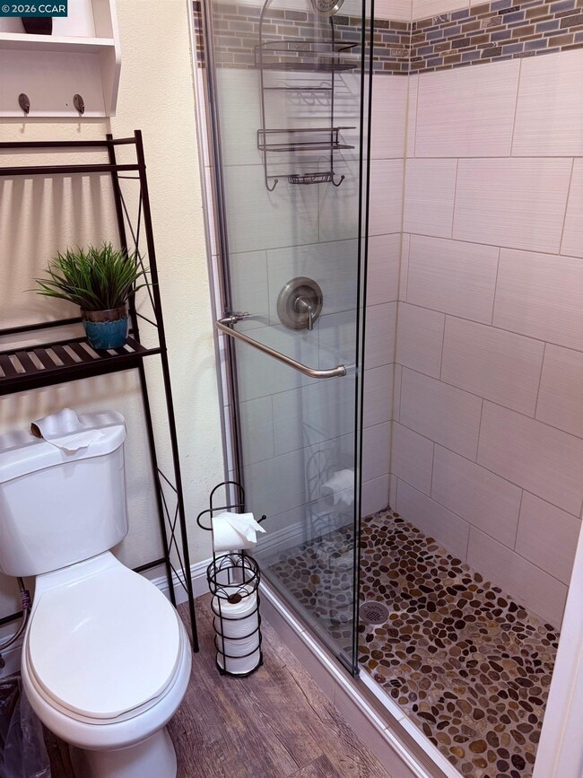 Building Photo - 143 Pulido Rd