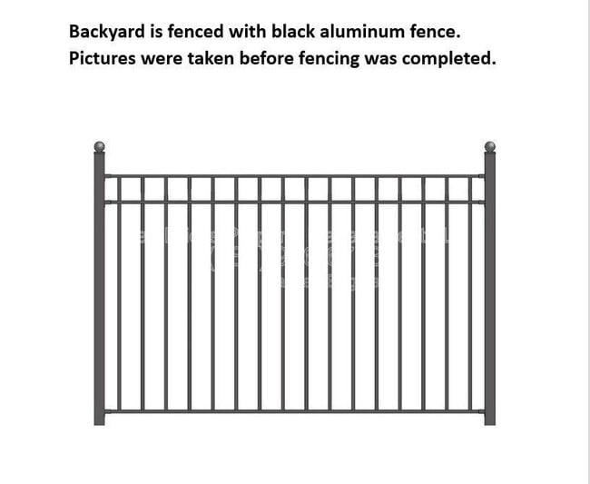 Building Photo - 11910 Silverheel Ln