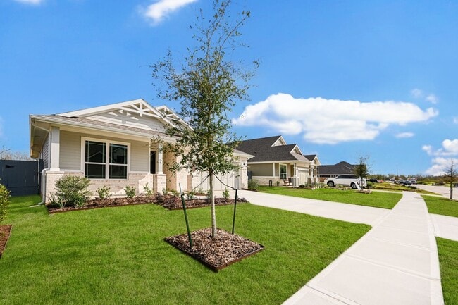 Building Photo - Brand new, contemporary 1-story home. FRID...