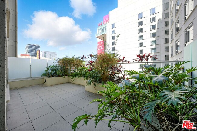 Building Photo - 6250 Hollywood Blvd