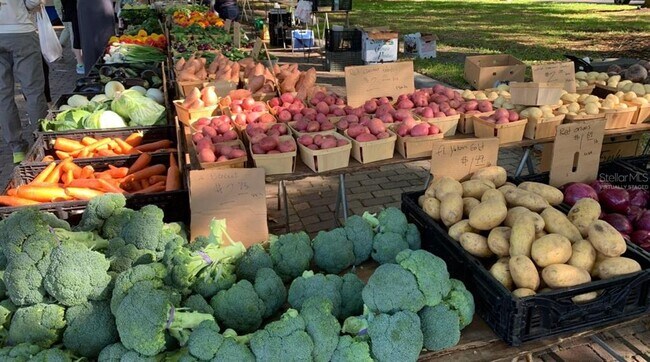 Building Photo - 11745 Via Lucerna Cir