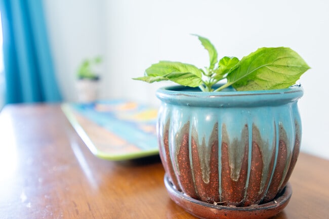 Building Photo - 1101 Kitt Pl