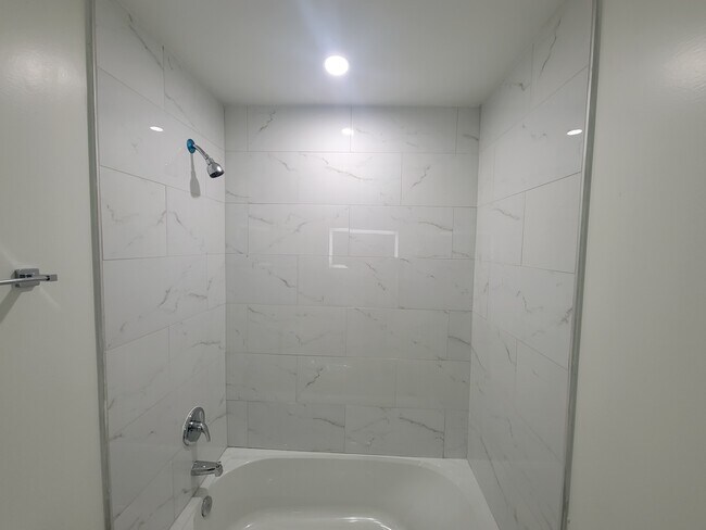 2nd Bathroom Shower - 1131 Montreat Ave SW