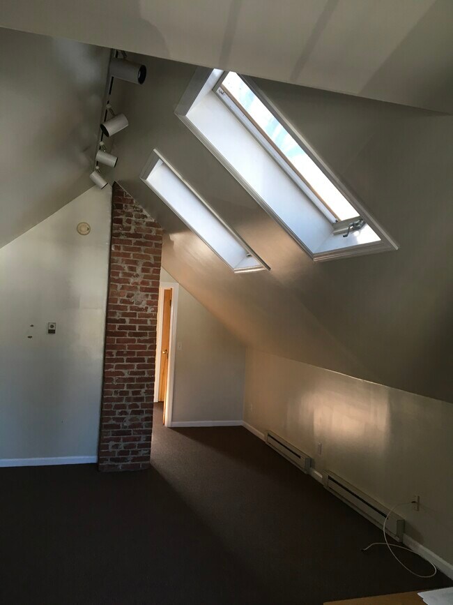 living rm skylights - 209 Garfield Ave