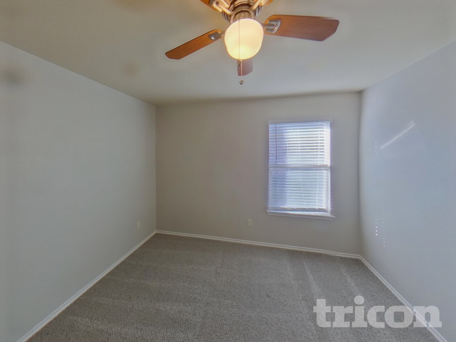 Building Photo - 336 Carlyle St