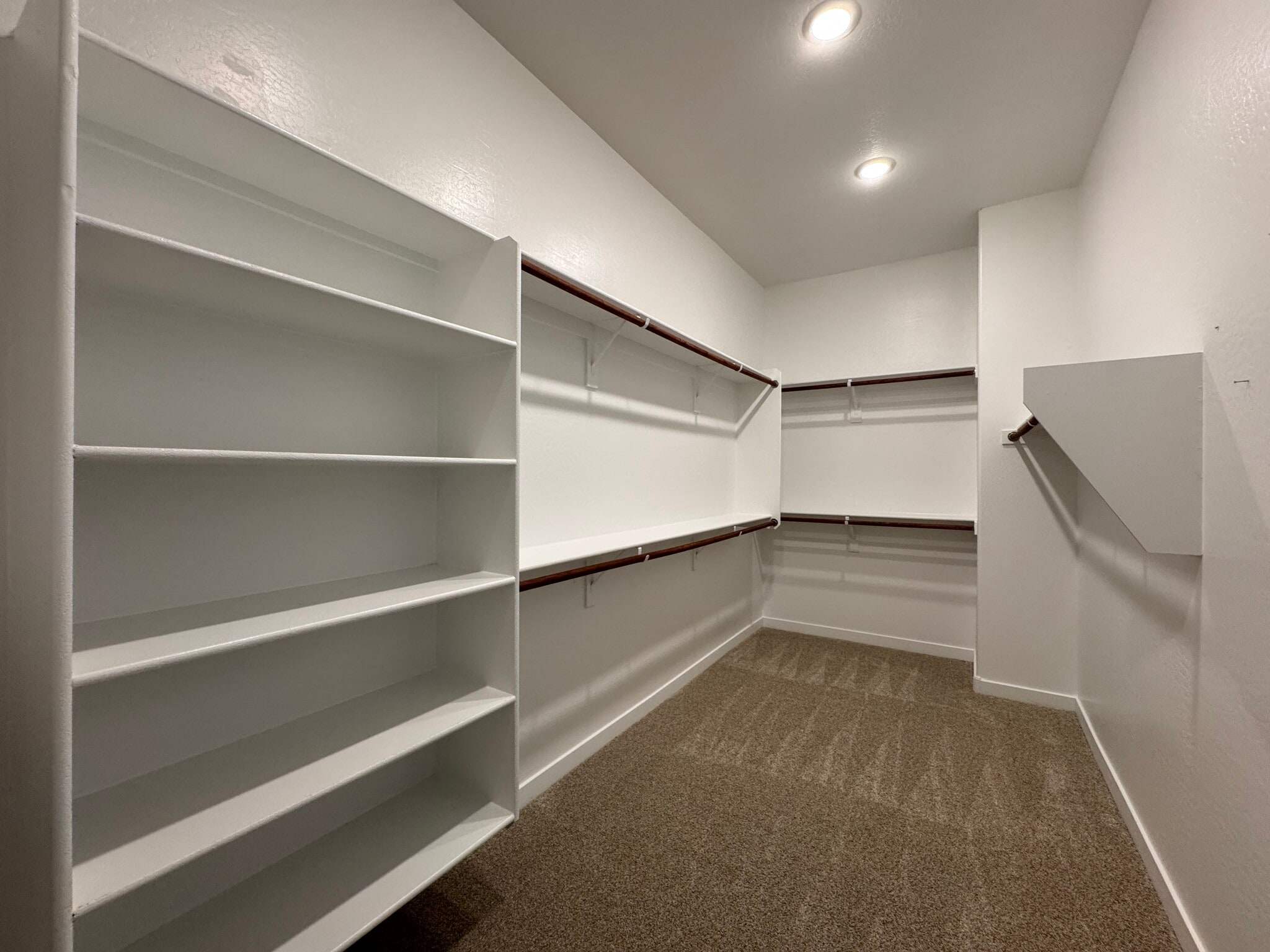Primary walk-in closet - 2996 E Birdsong Ave