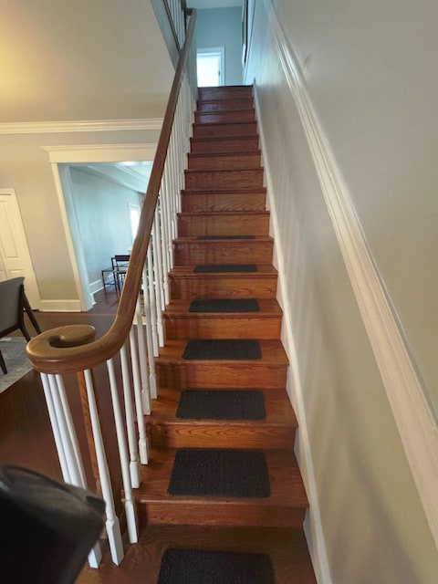 Building Photo - 1116 Wolf St