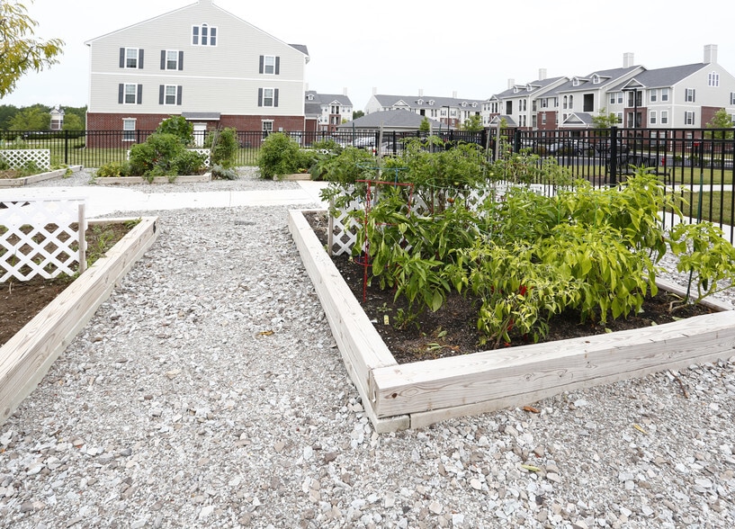 Building - Domain at Bennett Farms