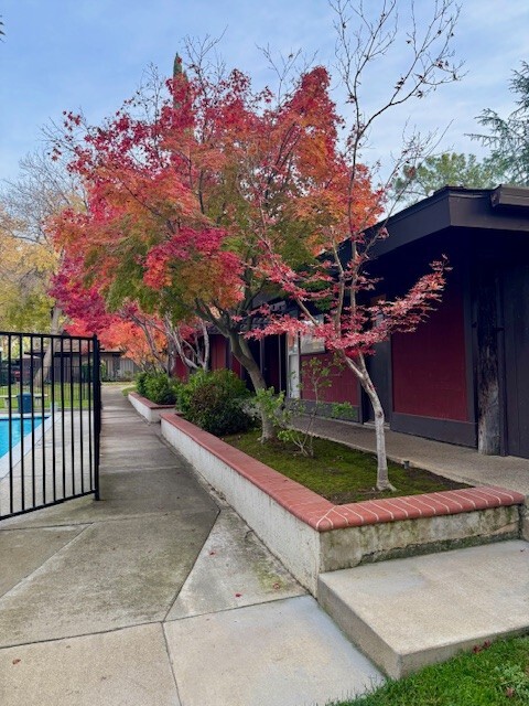 Building Photo - 5434 Roundtree Ct