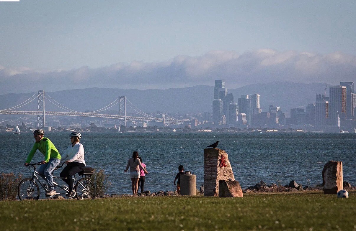 Building Photo - 15 Shoreline Ct