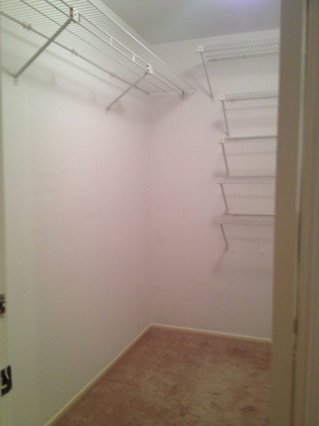 walk in closet - 725 S Barrington Ave