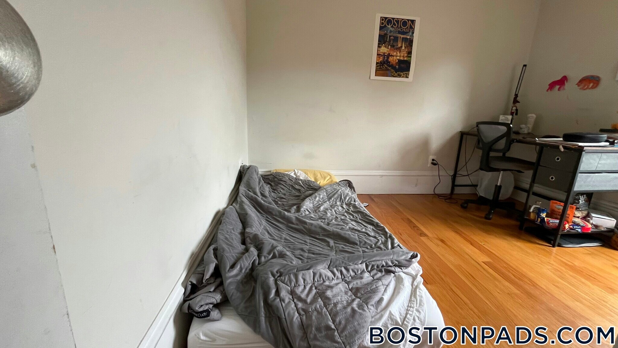 Building Photo - 871 Harrison Ave