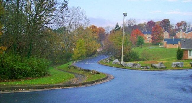 Building Photo - Willow View Townhouses