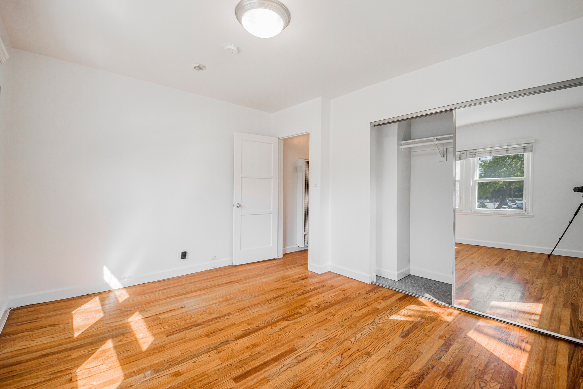 Building Photo - 8754.5 Belford Ave