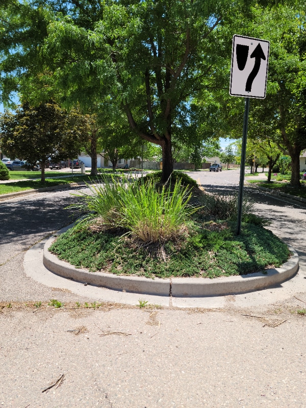 Building Photo - 3619 Bobcat Ln