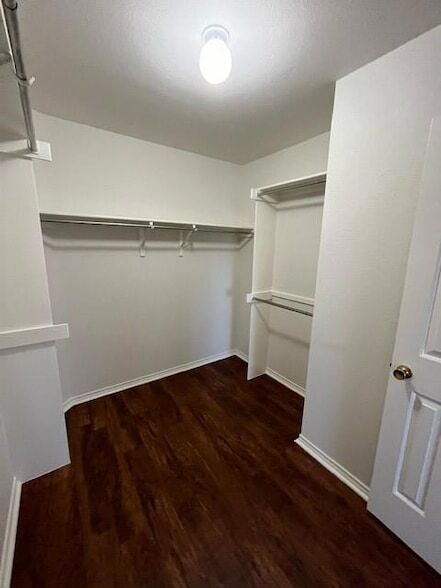 Building Photo - 908 Rocking Spur Cove