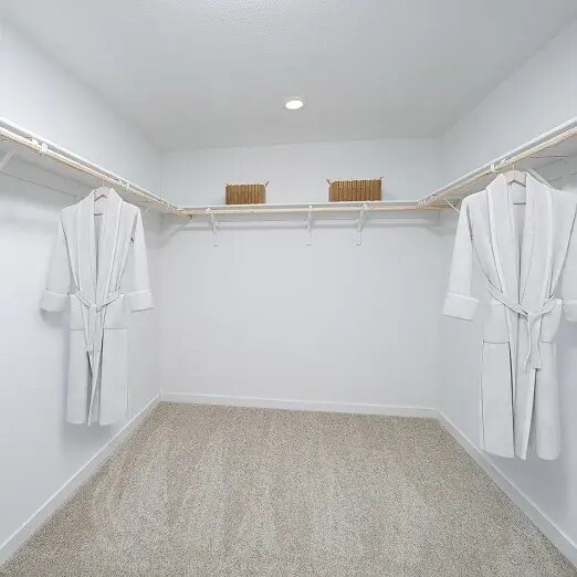 Building Photo - 1478 Sea Holly St