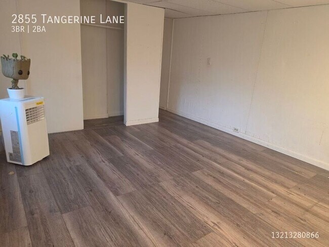 Building Photo - 2855 Tangerine Ln