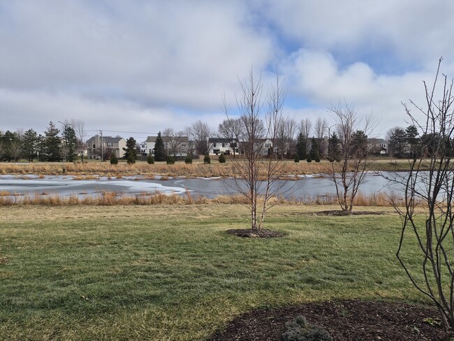 Building Photo - 24412 W Alexis Ln