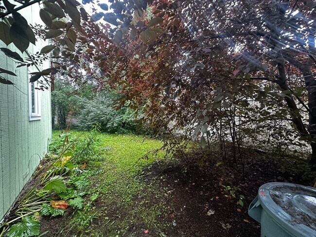 Building Photo - 285 Cindy Dr