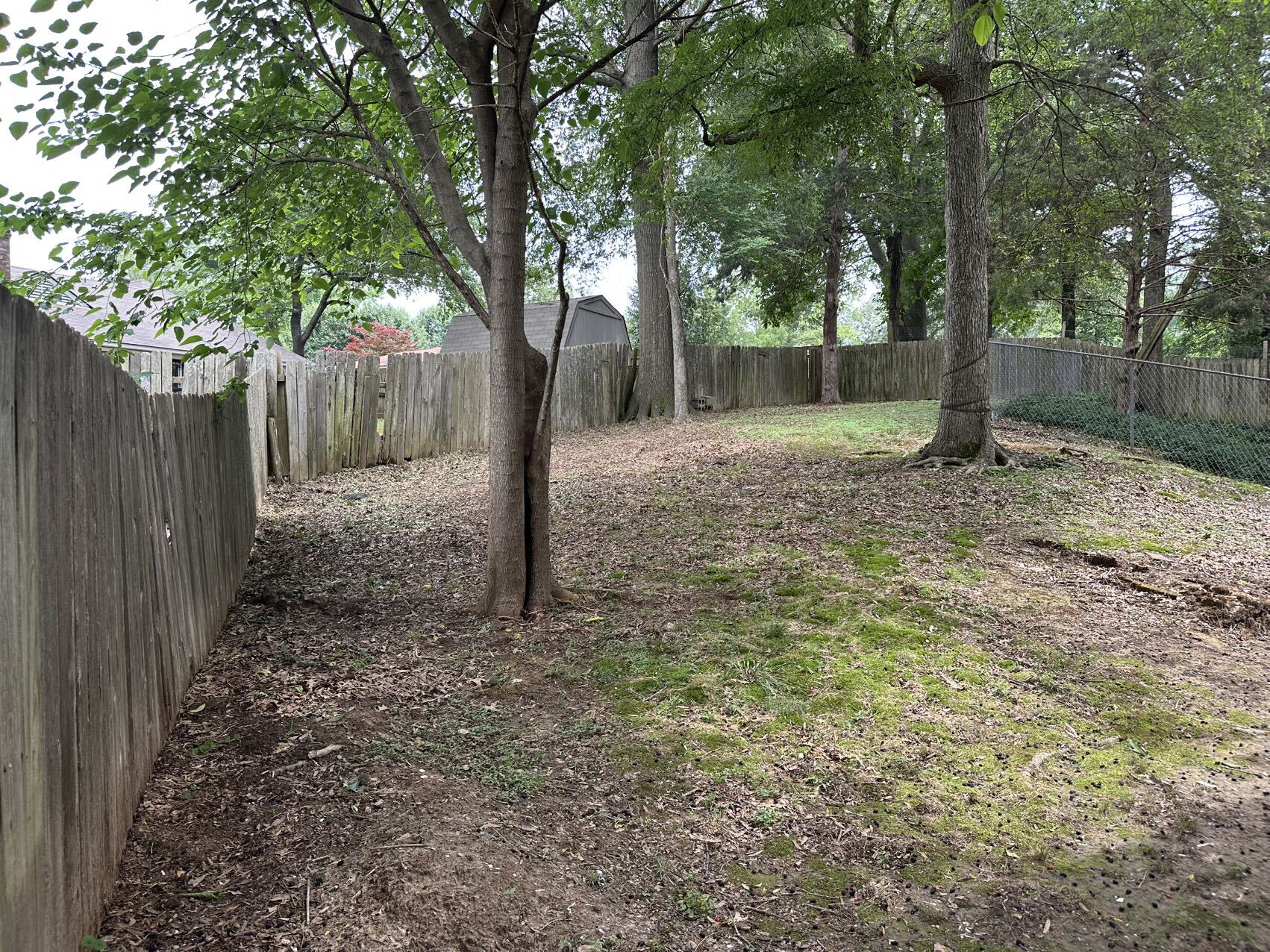 Building Photo - 2784 Bragg Ln