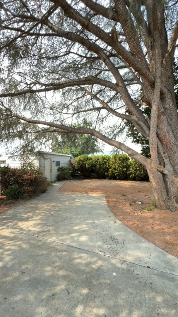 Building Photo - Large 4 Bedroom Orchards Home with private...