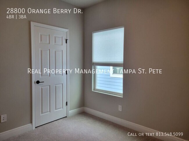 Building Photo - 28800 Orange Berry Dr