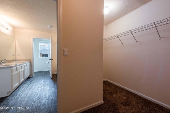 Building Photo - 3463 Belen Ct