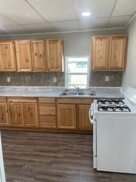 Building Photo - 626 Holly St