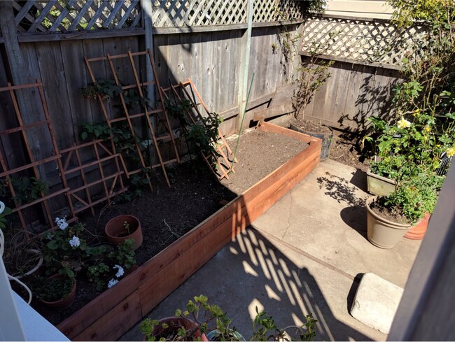 Building Photo - Large, Beautiful Home near Dolores Park!