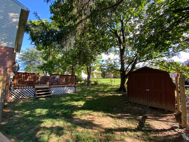 spacious back yard - 1518 Howell Rd