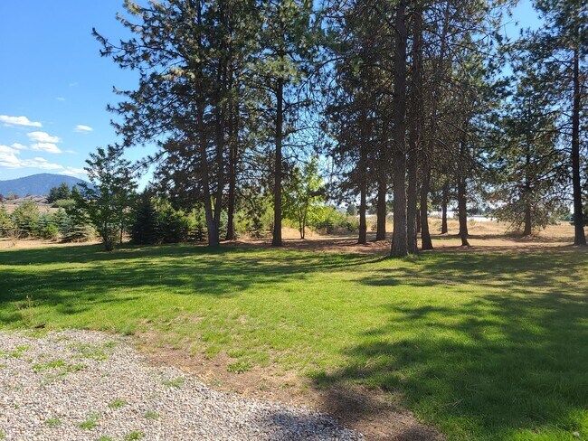 Building Photo - Beautiful Updated 3 bedroom 2.5 bath Hayde...