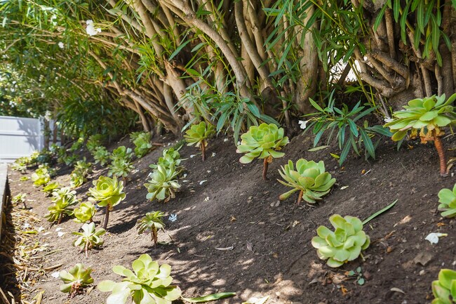 Building Photo - 31259 Bailard Rd