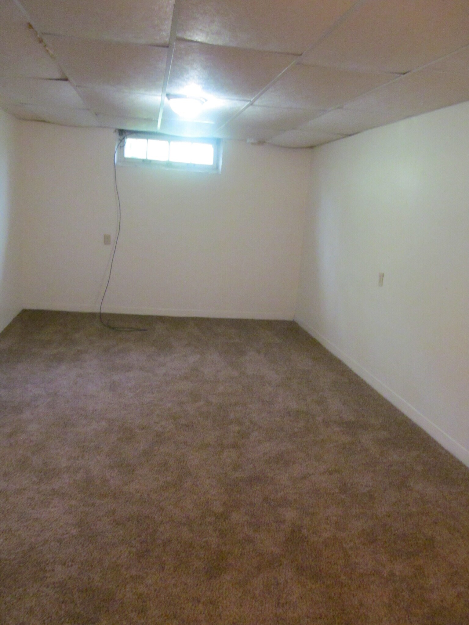 Lower Level Family Room Area - 2231 Hamilton St SW