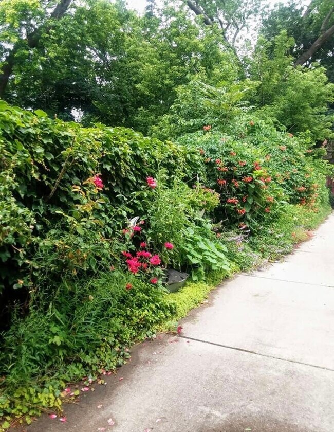 Building Photo - 1070 Parker St