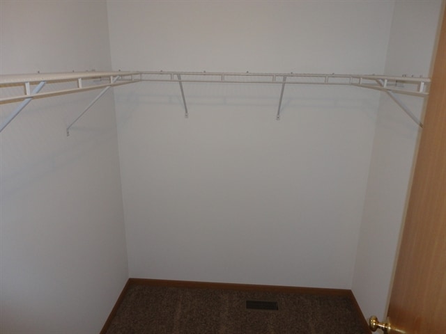 Building Photo - 1031 Misty Landing Ct