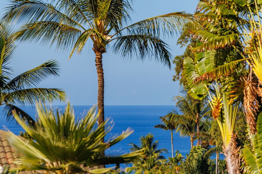 Building Photo - 3950 Kalai Waa St