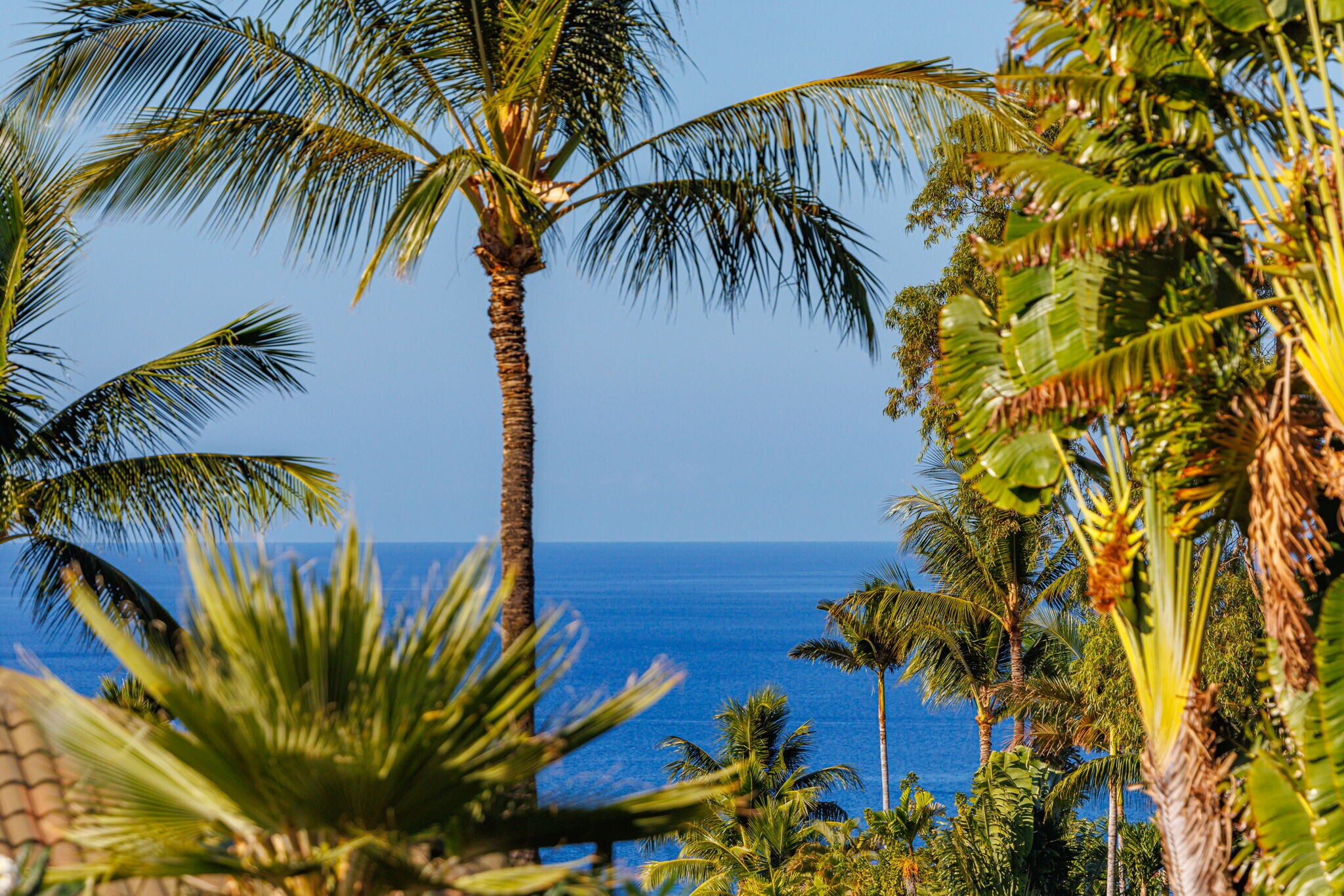 Building Photo - 3950 Kalai Waa St