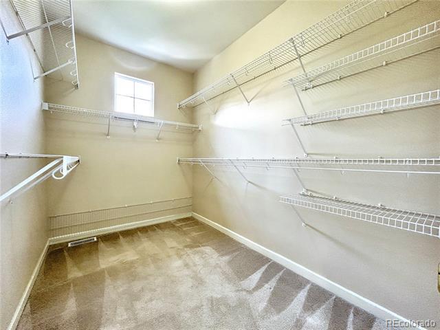 Building Photo - 4653 Bethany Ct