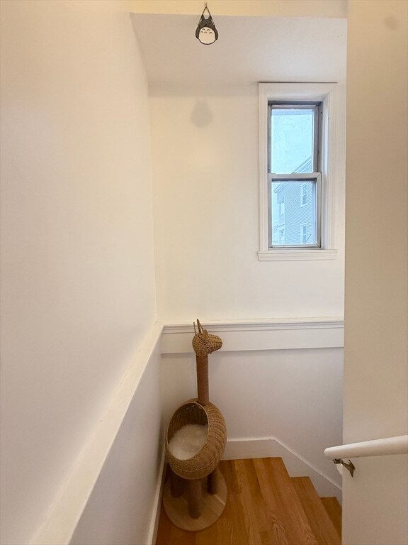 Building Photo - 9 Marion St