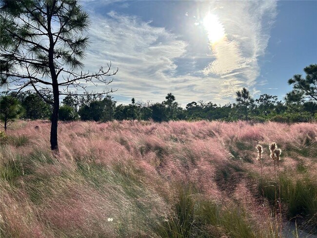 Building Photo - 8611 51st Ave W