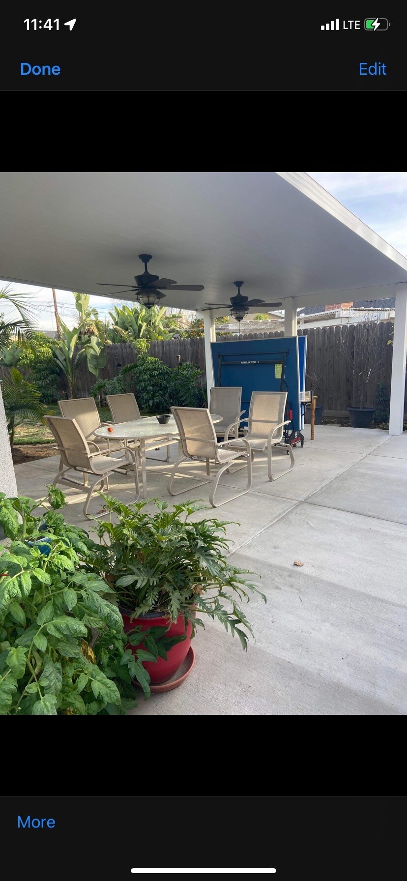 Backyard - 914 Oleander St
